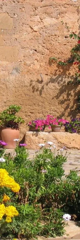 Finca Sa Cova Vella，位于马纳科尔的酒店