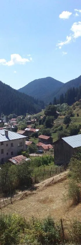 Guest House Jani，位于特里格拉德的酒店