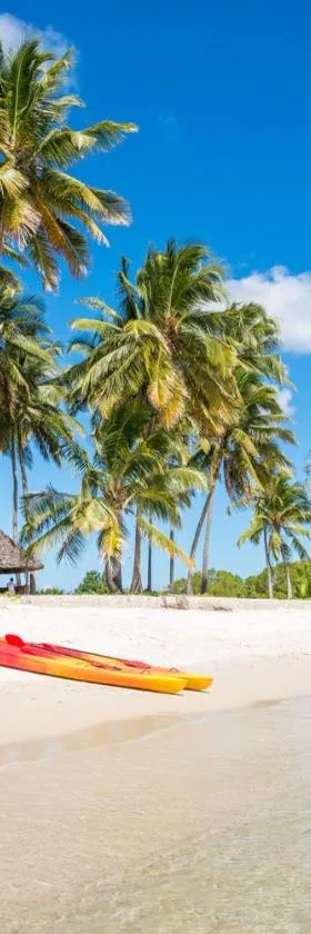 Butiama Beach Lodge，位于基林多尼的酒店