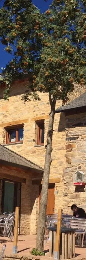 El Trasgu de Foncebadón，位于芳瑟巴登的酒店