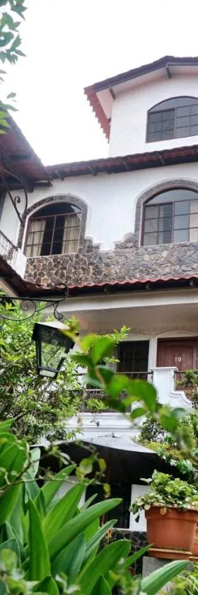 Hotel & Restaurant Fleur de Lis，位于康塞普西翁德阿塔科的酒店