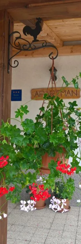 Apartman Thea Gomirje，位于Gomirje的酒店