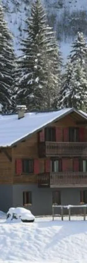 La Chanterelle - Mountain Lodge，位于La Côte dʼArbroz的酒店
