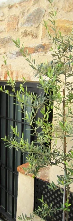 La Casina de Piedra ENCANTO - Parte Antigua de Cáceres，位于卡塞雷斯的酒店