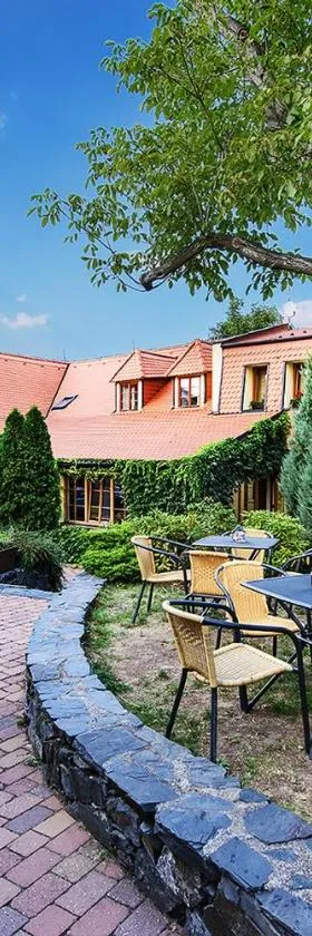 Restaurace a Penzion U Palečků，位于Skuteč的酒店