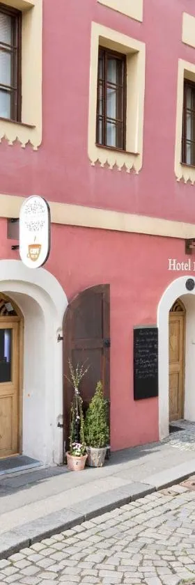100酒店，位于帕尔杜比采的酒店