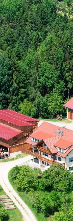 Ferienwohnungen Bauernhof Schilcher，位于圣斯特凡的酒店