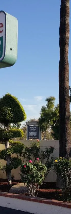柳树汽车旅馆 ，位于福乐顿市的酒店