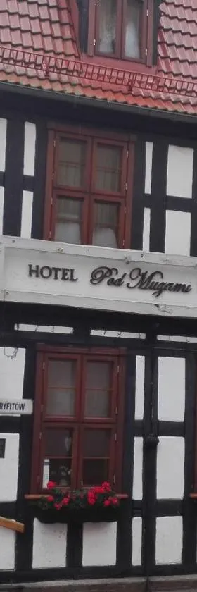 Noclegi pod Muzami，位于波莫瑞地区卡缅的酒店