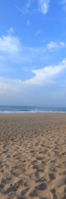 Mangrove Beach Cabana，位于坦加拉的酒店