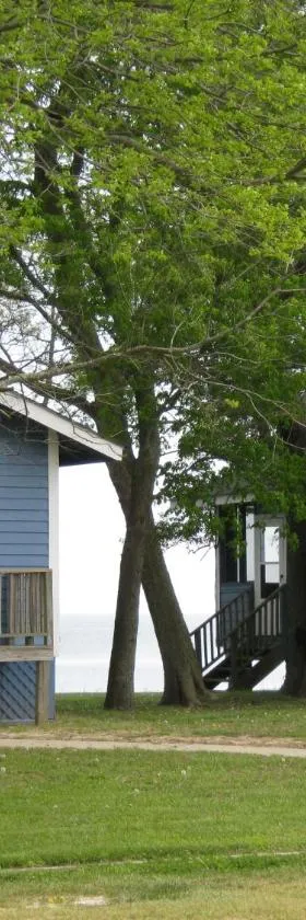 Virginia Landing Camping Resort Cabin 2，位于Quinby的酒店