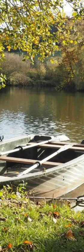 Cabanes flottantes et gîtes au fil de l'eau，位于Colleville的酒店