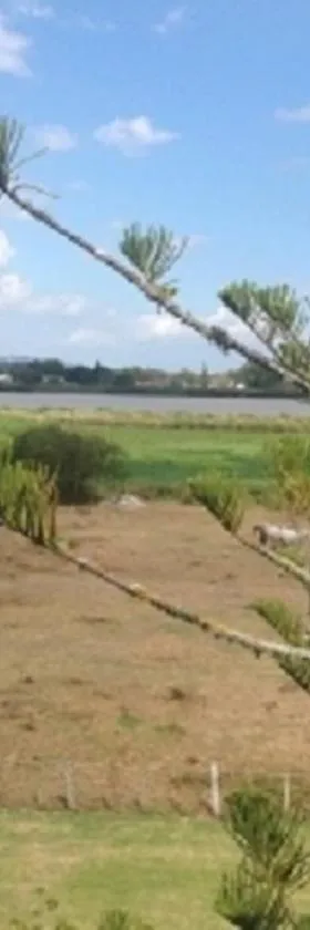 达格维尔汽车旅馆，位于达格维尔的酒店