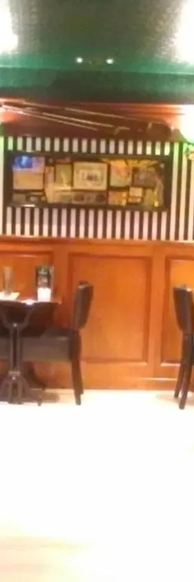 Hôtel Jeanne D'Arc，位于圣谢利达普谢的酒店
