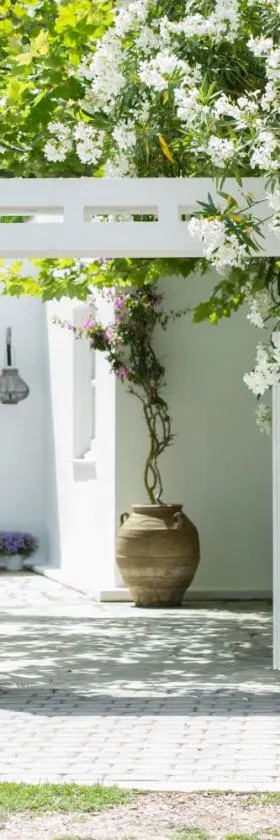 Skiathos Holidays Suites & Villas，位于Vromolimnos的酒店