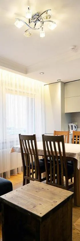 Luxury apartment Vytauto 16，位于德鲁斯基宁凯的酒店