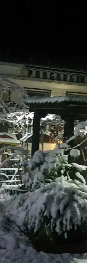Podgorski An，位于Kolešino的酒店