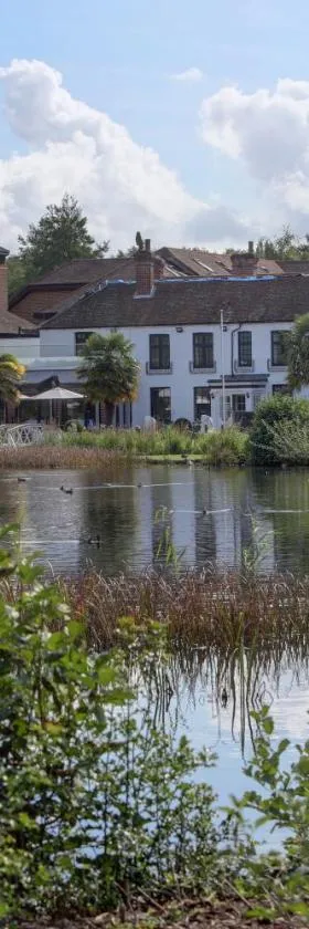 Frensham Pond Country House Hotel & Spa，位于法纳姆的酒店