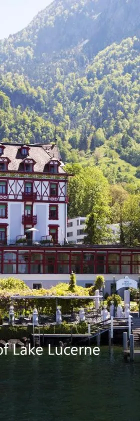 Hotel Vitznauerhof - Lifestyle Hideaway at Lake Lucerne，位于菲茨瑙的酒店