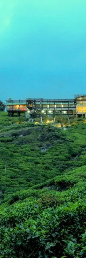 The Rainforest Ecolodge - Sinharaja with Shuttle Service from Car Park，位于代尼耶耶的酒店