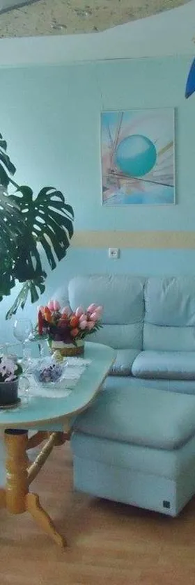 Puikus apartamentai，位于阿利图斯的酒店
