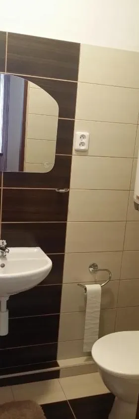 扬基旅馆，位于Dubňany的酒店