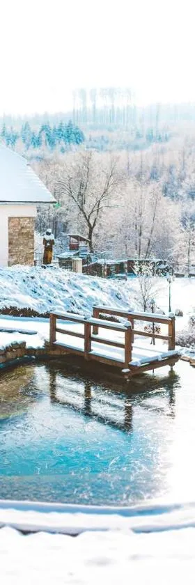 赛琳赫波托卡膳食旅馆，位于Nová Lhota的酒店