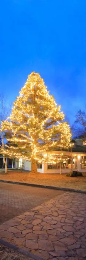 Yutorelo Karuizawa Hotel，位于轻井泽的酒店