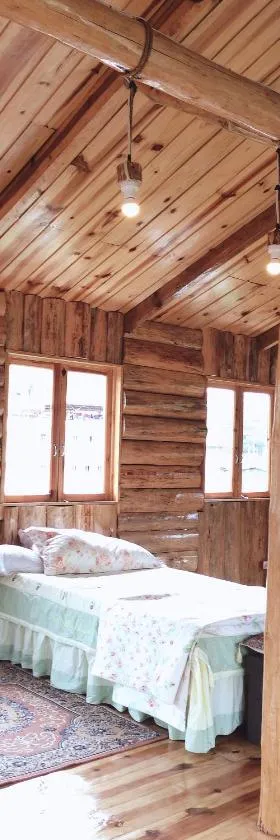 Agape Log Cabin，位于萨加达的酒店