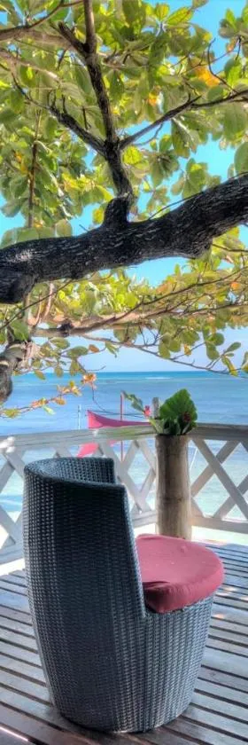 Analatsara Eco Lodge，位于Ile aux Nattes的酒店