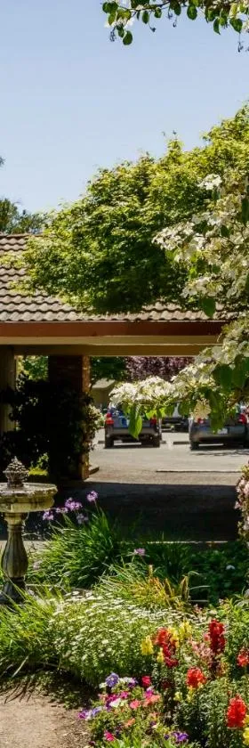杰克伦敦小屋宾馆，位于格伦艾伦的酒店