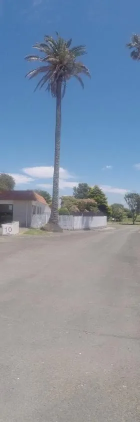 Opotiki Holiday Park，位于奥波蒂基的酒店