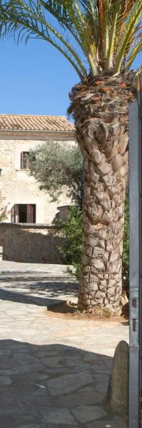 Casa Font i Roig，位于马里亚德拉萨卢特的酒店