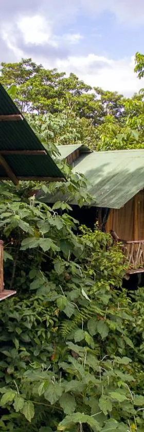 La Tigra Rainforest Lodge，位于福尔图纳的酒店