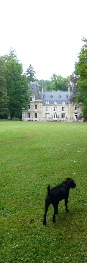 Chateau de la Raffe，位于Naix-aux-Forges的酒店
