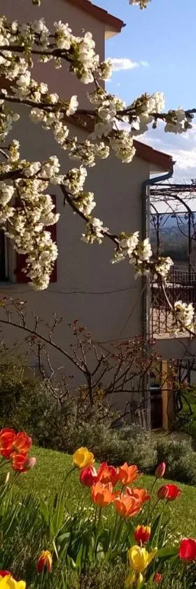 Le Balcon，位于Dallet的酒店