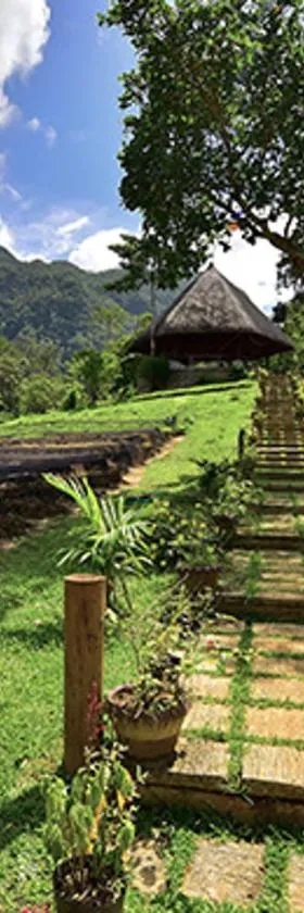 Sheridan Organic Farm and Resort，位于Maratapi的酒店