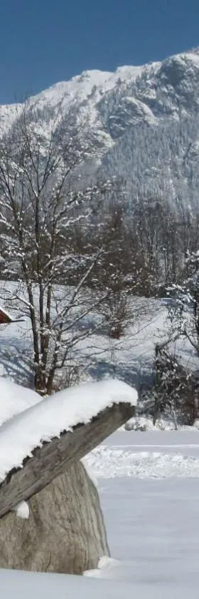 Chamonix petit chalet Cocooning，位于塞尔沃兹的酒店