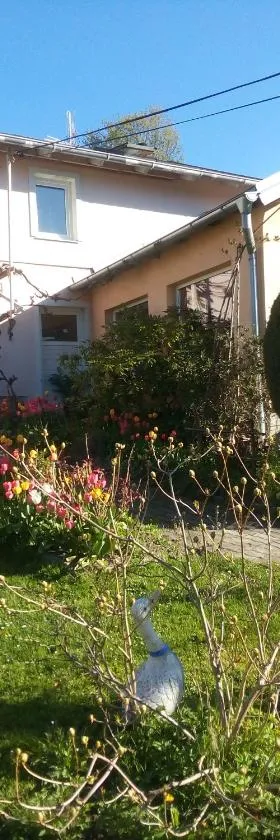 Pension Jana Tatrovice，位于Tatrovice的酒店