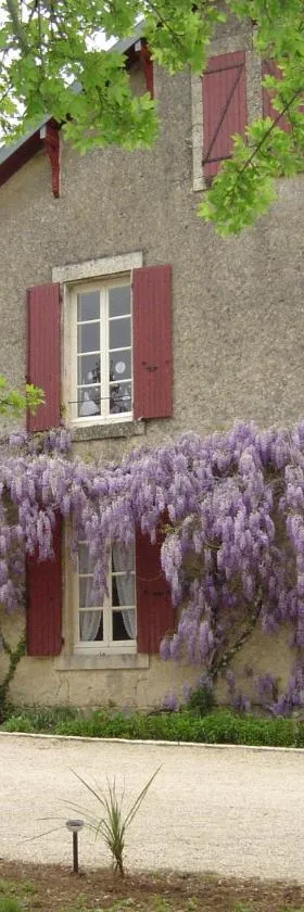 Les Vieilles Vignes，位于Thorigné的酒店