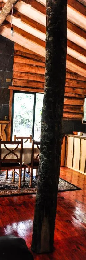 Cabaña Rustica Patagonia Chilena，位于柯纳里佩的酒店