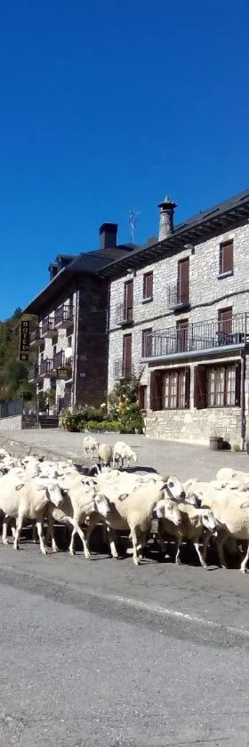 Albergue El Último Bucardo，位于Linás de Broto的酒店