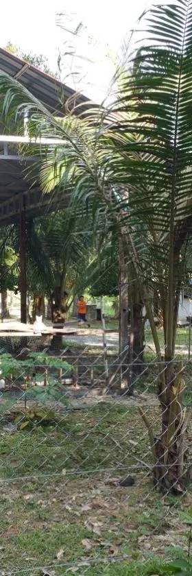 开庞塞莫沃尔小木屋农家乐，位于瓜拉江沙的酒店
