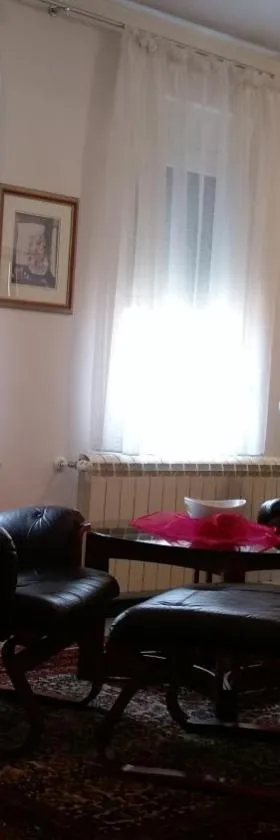 Apartment Krsmanovic，位于阿然德洛维克的酒店