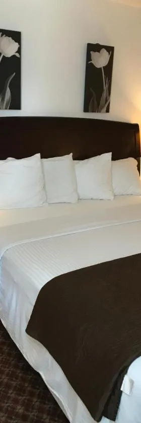 Gold Pan Lodge，位于Quincy的酒店