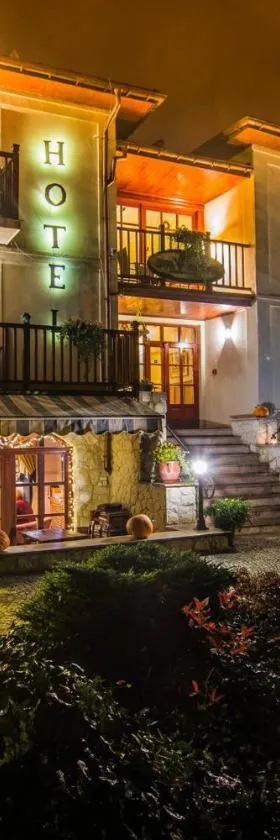 Hotel Dwa Księżyce，位于卡齐米日-多尔尼的酒店