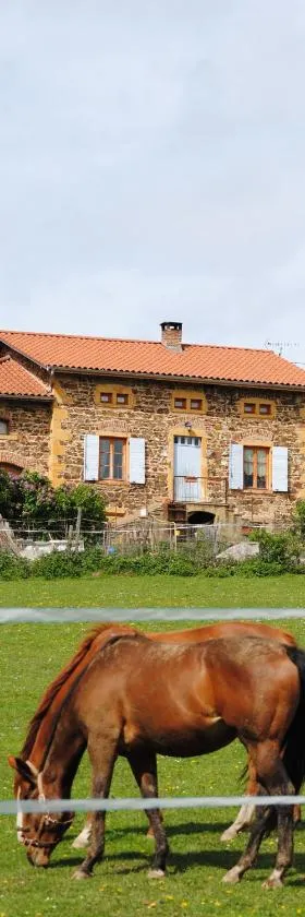 Domaine de la Poyat，位于勒格尼的酒店