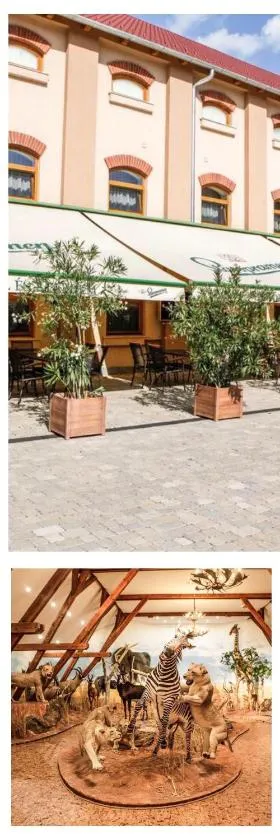 Hunor Hotel és Étterem，位于瓦沙罗什瑙梅尼的酒店