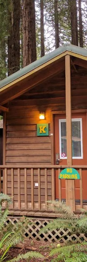翡翠森林山林小屋，位于特立尼达的酒店