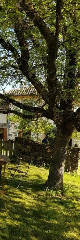 La Fromagerie，位于Saint-Martin-le-Vieux的酒店